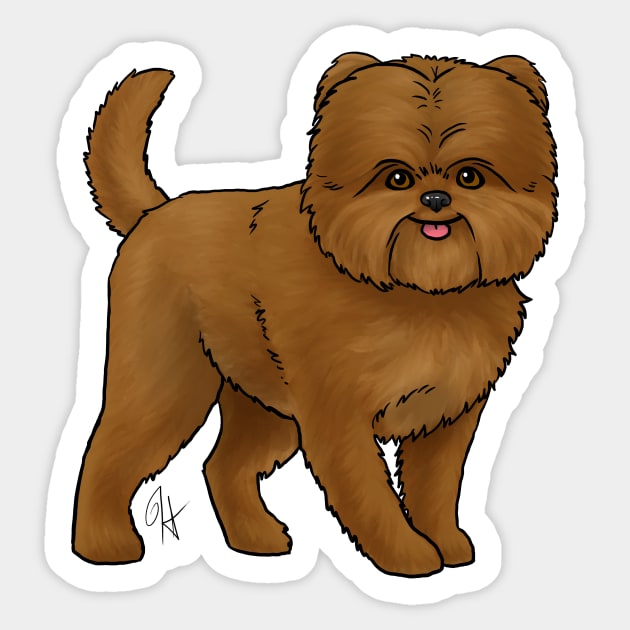 Dog Affenpinscher Red